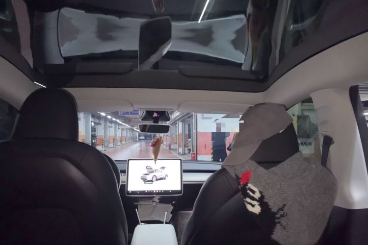 Used Tesla Model Y 2023 Long-Range All-Wheel-Drive Version Headliner
