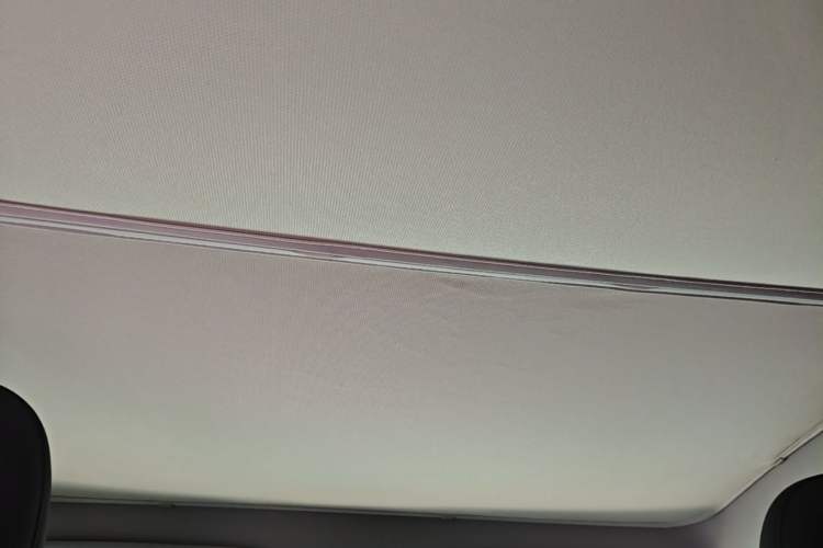 Used Tesla Model Y 2023 Rear-Wheel-Drive Version Headliner