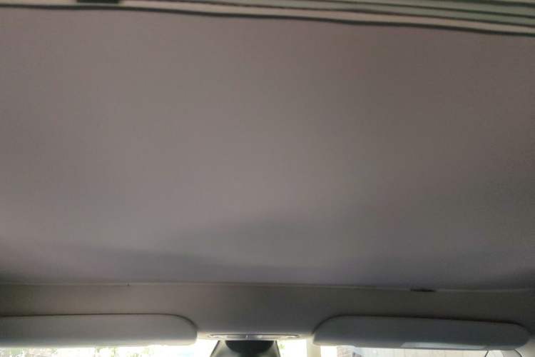 Used Tesla Model Y 2023 Rear-Wheel-Drive Version Headliner