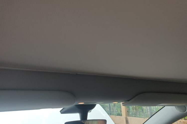 Used Tesla Model Y 2023 Long-Range All-Wheel-Drive Version Headliner