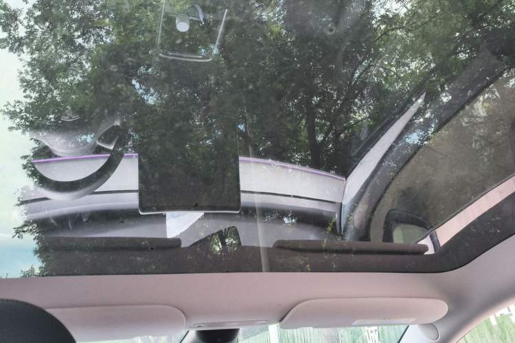 Used Tesla Model Y 2023 Rear-Wheel-Drive Version Headliner