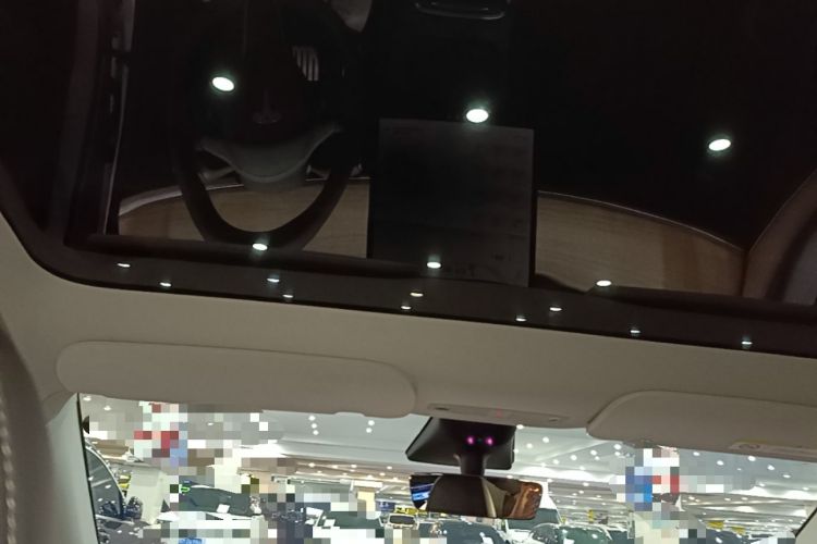 Used Tesla Model Y 2023 High-Performance All-Wheel-Drive Version Headliner