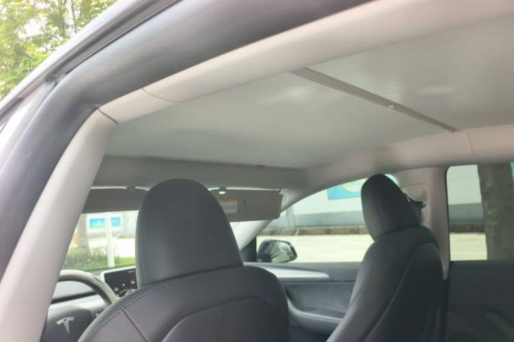 Used Tesla Model Y 2023 Long-Range All-Wheel-Drive Version Headliner