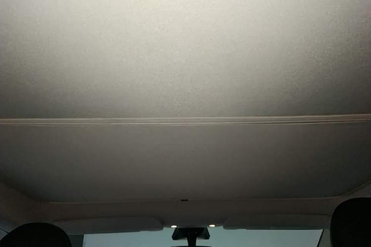 Used Tesla Model Y 2023 Long-Range All-Wheel-Drive Version Headliner
