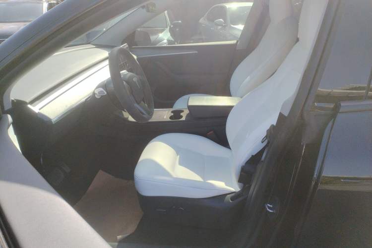 Used Tesla Model Y 2023 Rear-Wheel-Drive Version Left Front Seat