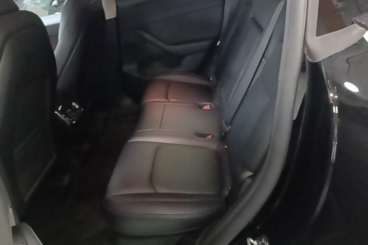 Used Tesla Model Y 2023 Rear-Wheel-Drive Version Left Rear Seat