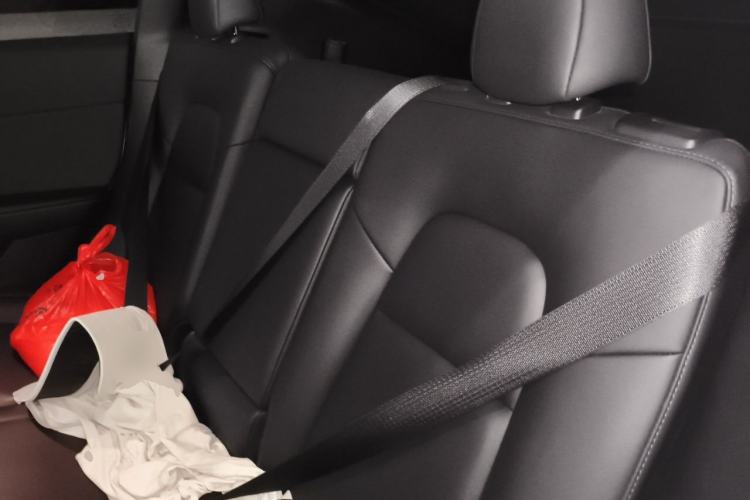 Used Tesla Model Y 2023 Rear-Wheel-Drive Version Left Rear Seat