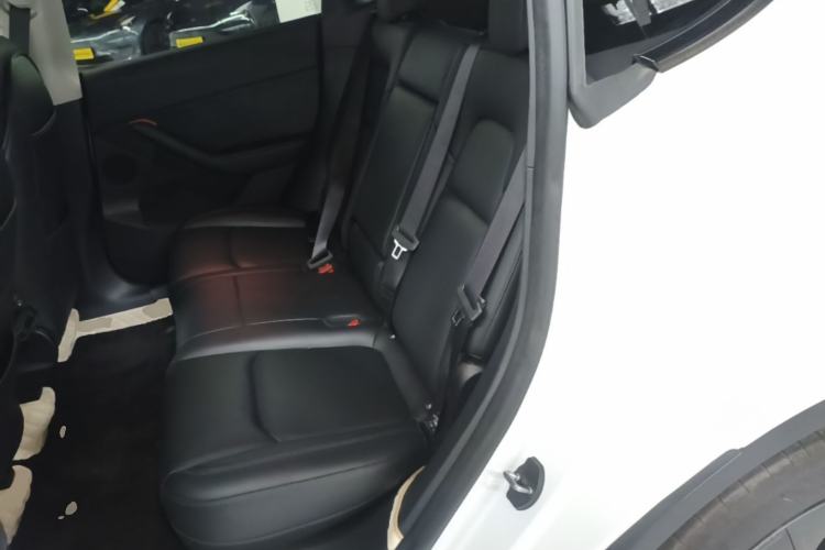 Used Tesla Model Y 2023 Rear-Wheel-Drive Version Left Rear Seat