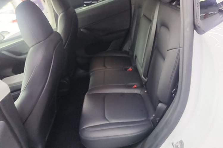 Used Tesla Model Y 2023 Rear-Wheel-Drive Version Left Rear Seat