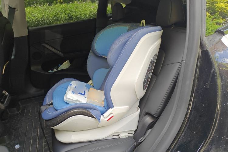 Used Tesla Model Y 2023 High-Performance All-Wheel-Drive Version Left Rear Seat