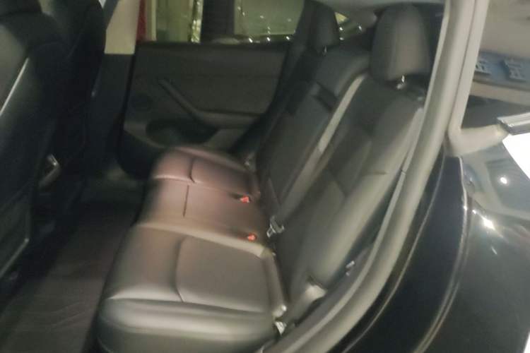 Used Tesla Model Y 2023 Rear-Wheel-Drive Version Left Rear Seat