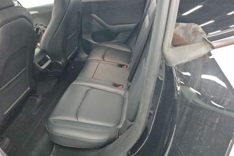 Used Tesla Model Y 2023 Rear-Wheel-Drive Version Left Rear Seat