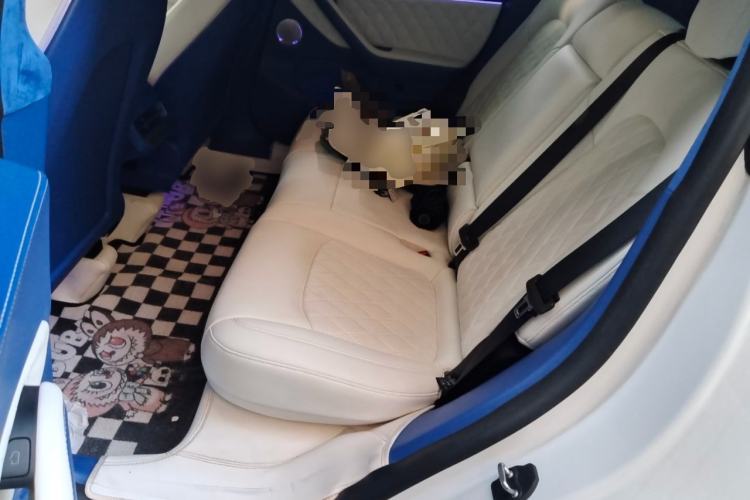 Used Tesla Model Y 2023 Rear-Wheel-Drive Version Left Rear Seat