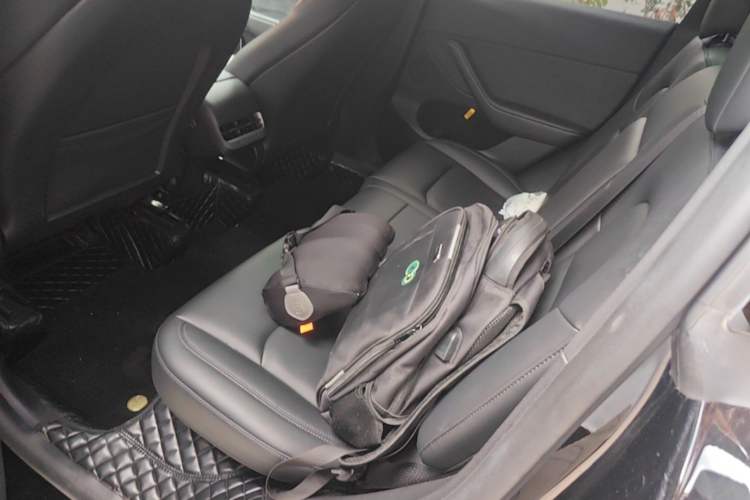 Used Tesla Model Y 2023 Rear-Wheel-Drive Version Left Rear Seat