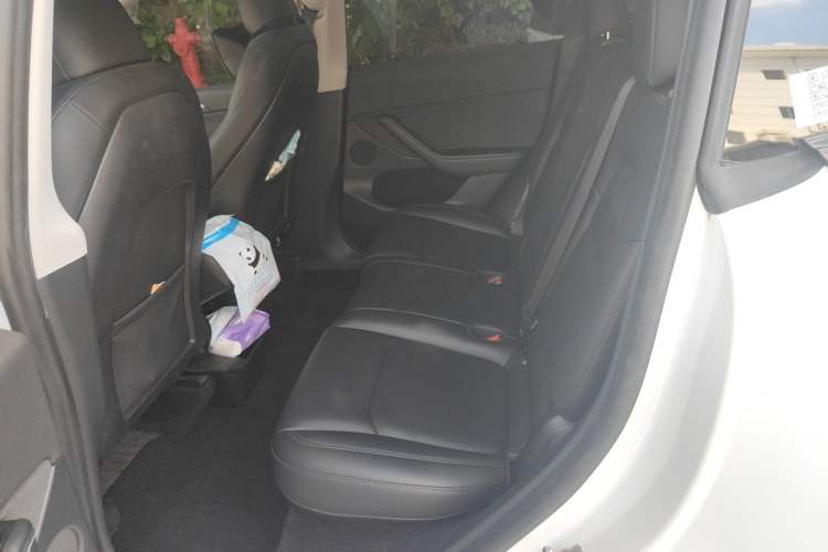 Used Tesla Model Y 2023 Long-Range All-Wheel-Drive Version Left Rear Seat