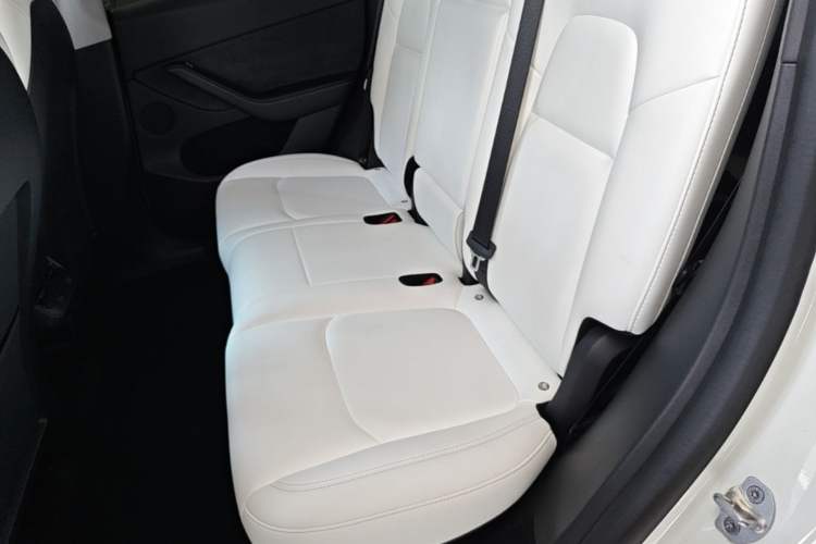 Used Tesla Model Y 2023 Long-Range All-Wheel-Drive Version Left Rear Seat