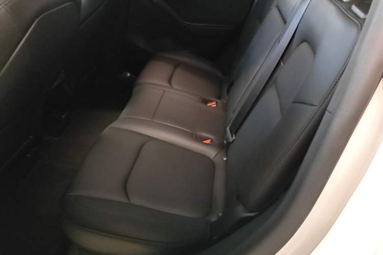Used Tesla Model Y 2023 Rear-Wheel-Drive Version Left Rear Seat