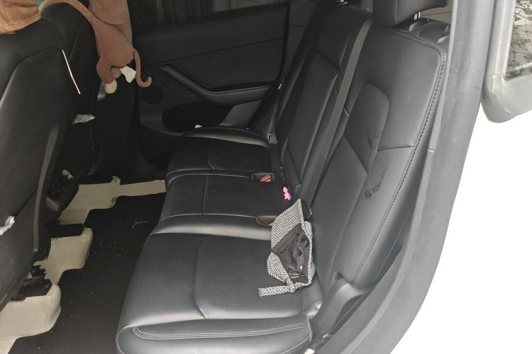 Used Tesla Model Y 2023 Rear-Wheel-Drive Version Left Rear Seat