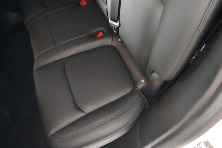Used Tesla Model Y 2023 Rear-Wheel-Drive Version Left Rear Seat