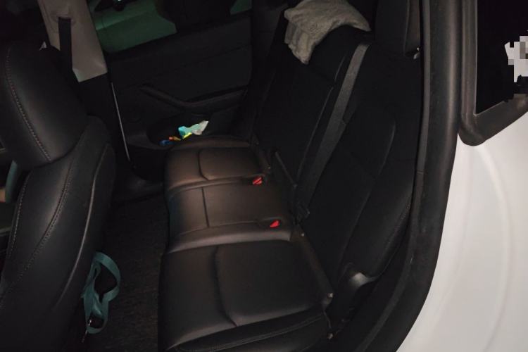 Used Tesla Model Y 2023 Rear-Wheel-Drive Version Left Rear Seat