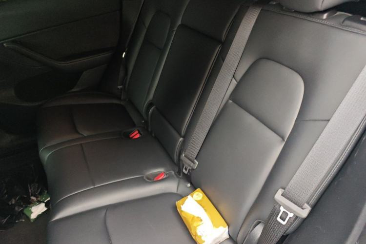 Used Tesla Model Y 2023 Long-Range All-Wheel-Drive Version Left Rear Seat