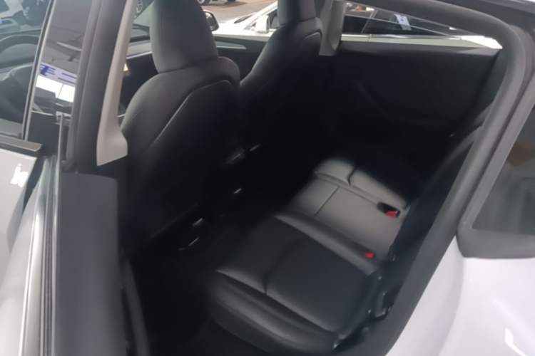 Used Tesla Model Y 2023 Long-Range All-Wheel-Drive Version Left Rear Seat
