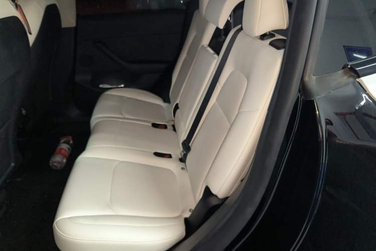 Used Tesla Model Y 2023 High-Performance All-Wheel-Drive Version Left Rear Seat
