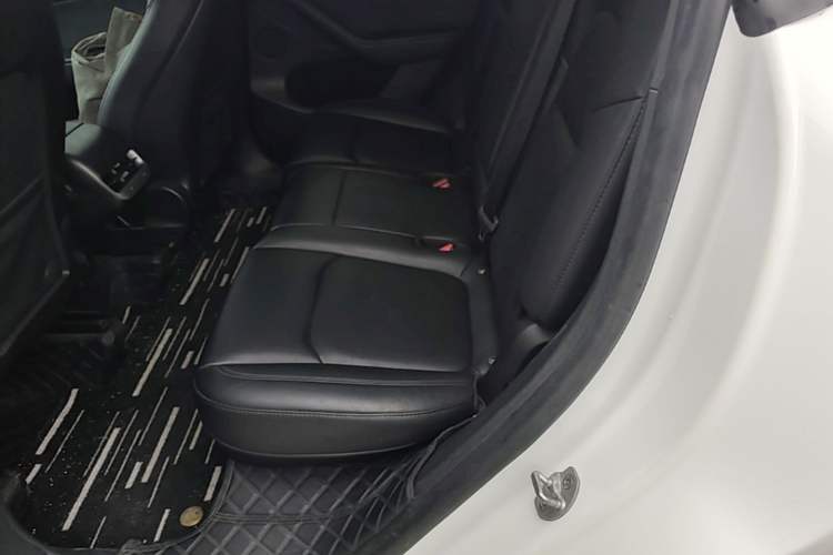 Used Tesla Model Y 2023 Rear-Wheel-Drive Version Left Rear Seat