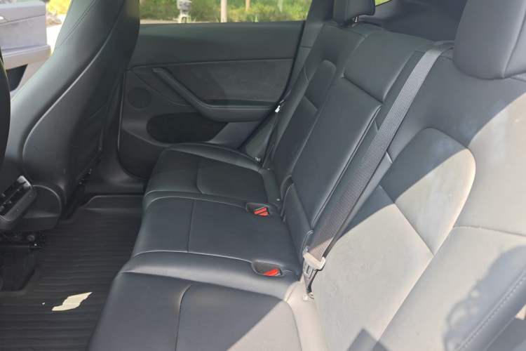 Used Tesla Model Y 2023 Long-Range All-Wheel-Drive Version Left Rear Seat