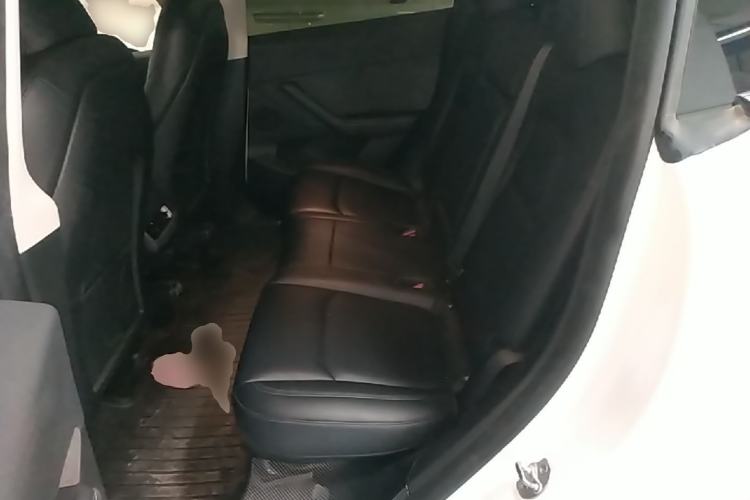 Used Tesla Model Y 2023 Long-Range All-Wheel-Drive Version Left Rear Seat