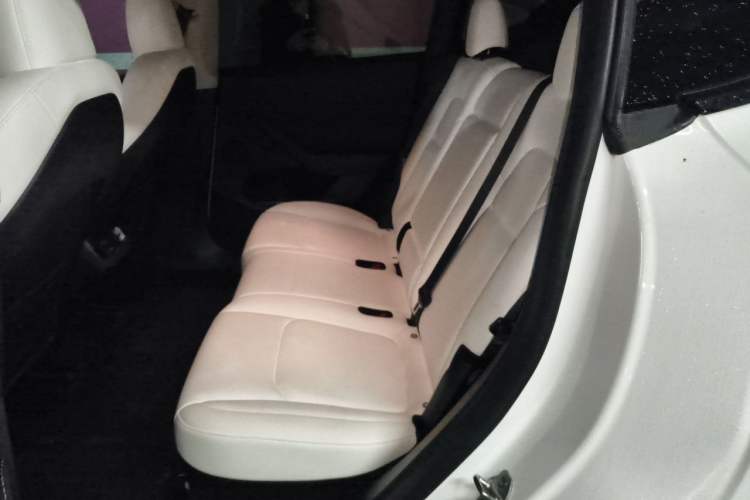 Used Tesla Model Y 2023 Rear-Wheel-Drive Version Left Rear Seat