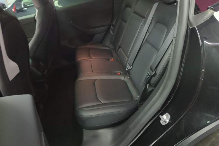 Used Tesla Model Y 2023 Rear-Wheel-Drive Version Left Rear Seat