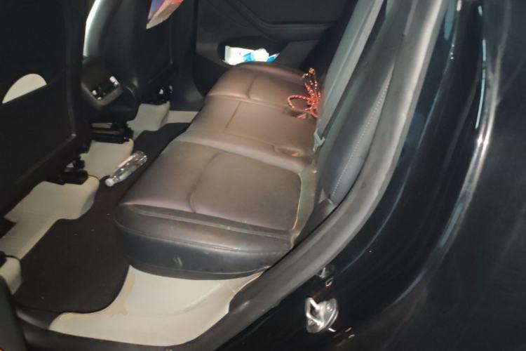 Used Tesla Model Y 2023 Rear-Wheel-Drive Version Left Rear Seat