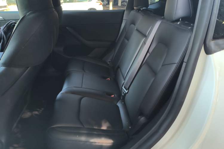 Used Tesla Model Y 2023 Rear-Wheel-Drive Version Left Rear Seat