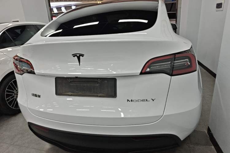 Used Tesla Model Y 2023 Rear-Wheel-Drive Version Rear