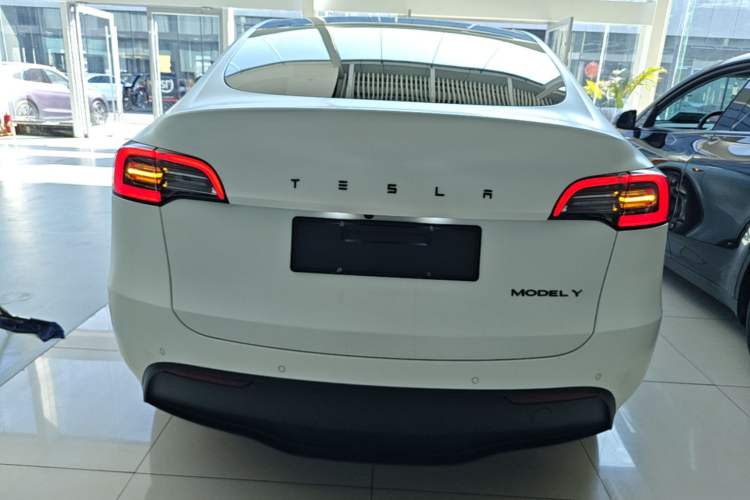Used Tesla Model Y 2023 Long-Range All-Wheel-Drive Version Rear