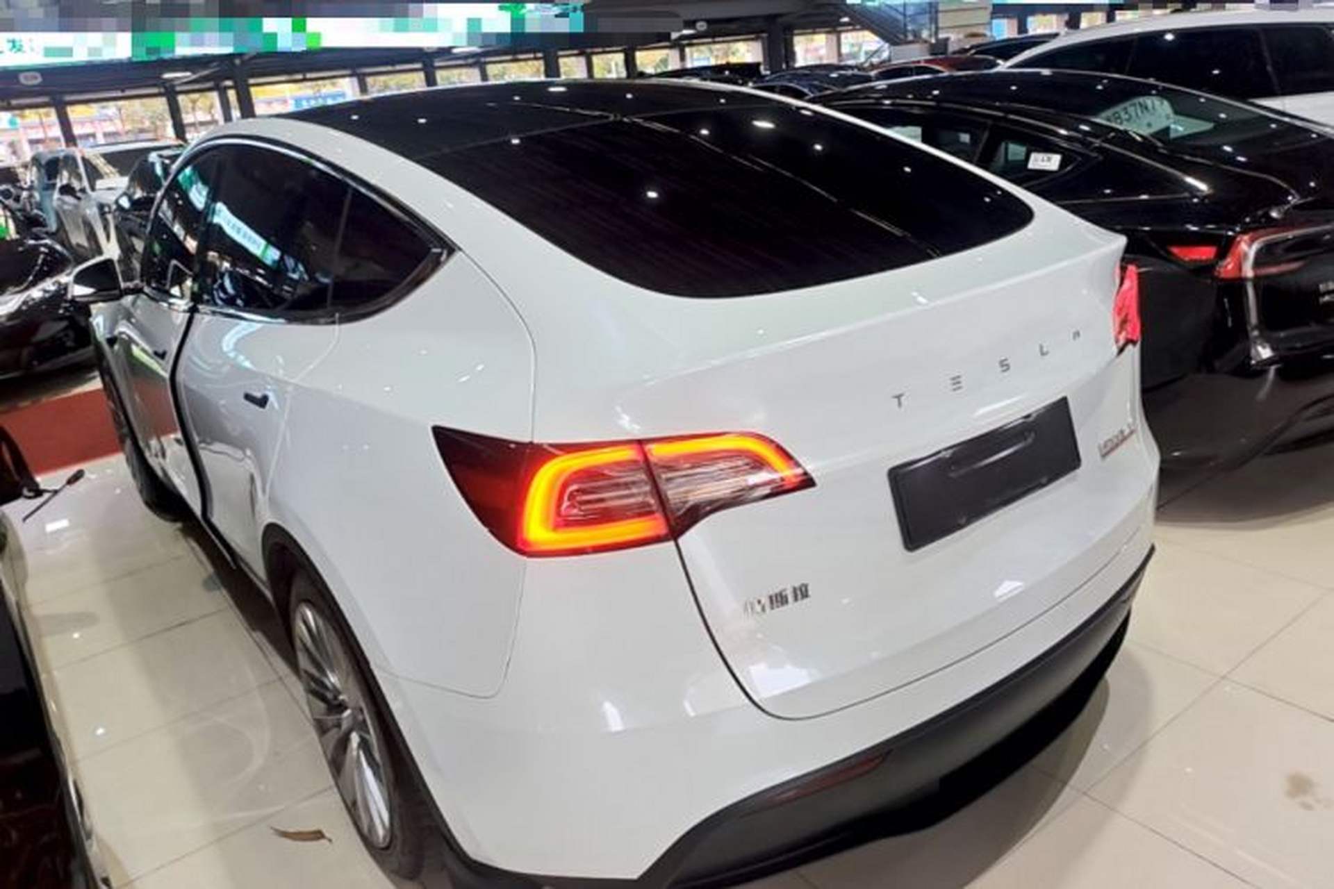 Used Tesla Model Y 2023 Long-Range All-Wheel-Drive Version Rear Left 45 Deg