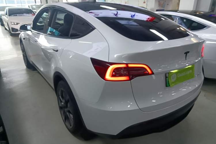 Used Tesla Model Y 2023 Long-Range All-Wheel-Drive Version Rear Left 45 Deg