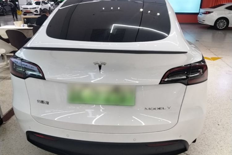Used Tesla Model Y 2023 Rear-Wheel-Drive Version Rear
