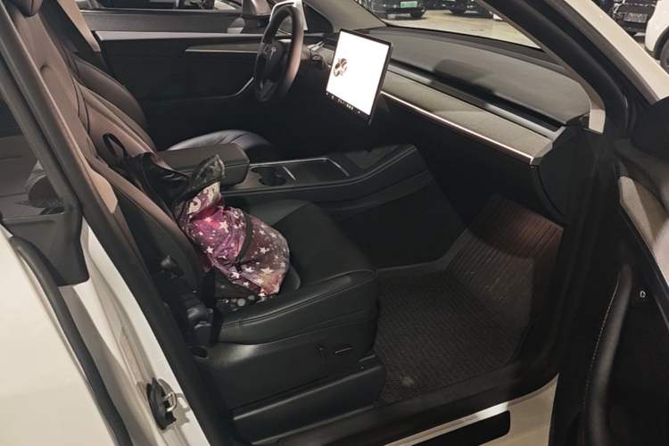 Used Tesla Model Y 2023 Long-Range All-Wheel-Drive Version Right Front Seat