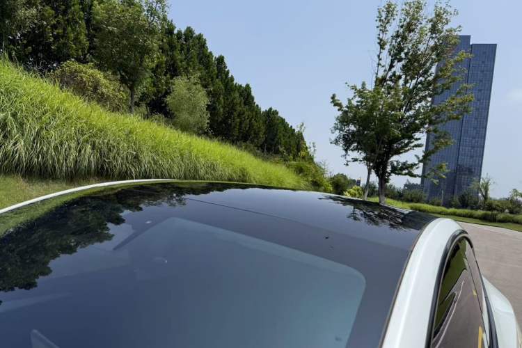 Used Tesla Model Y 2023 Rear-Wheel-Drive Version Roof