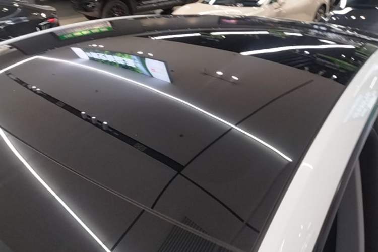 Used Tesla Model Y 2023 Rear-Wheel-Drive Version Roof