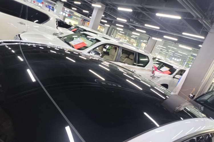 Used Tesla Model Y 2023 Rear-Wheel-Drive Version Roof