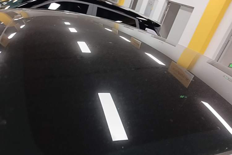 Used Tesla Model Y 2023 Rear-Wheel-Drive Version Roof