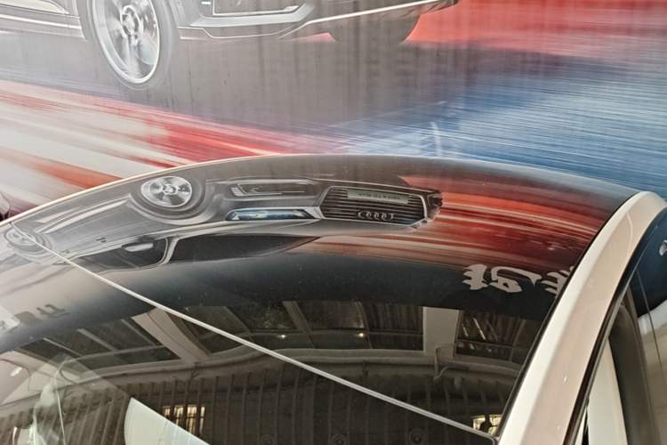 Used Tesla Model Y 2023 Rear-Wheel-Drive Version Roof