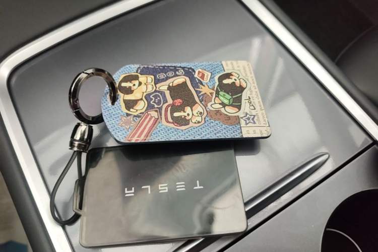 Used Tesla Model Y 2023 Rear-Wheel-Drive Version Vehicle Key
