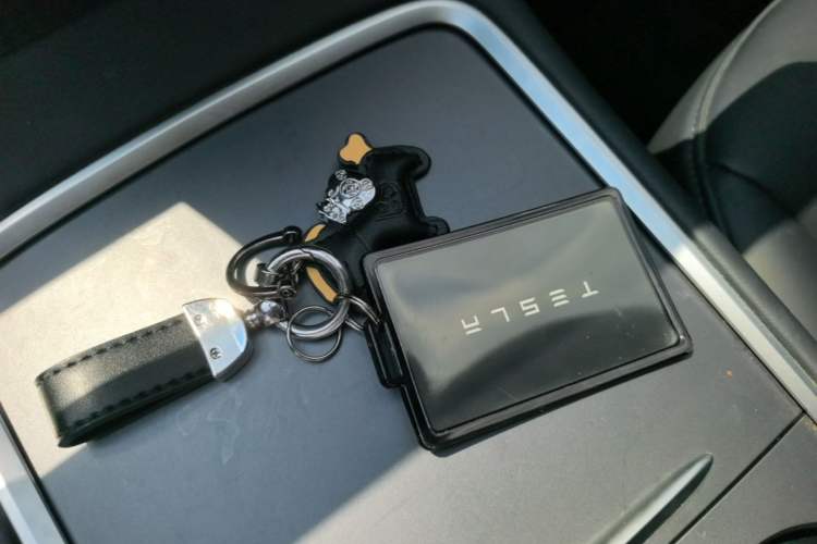 Used Tesla Model Y 2023 Rear-Wheel-Drive Version Vehicle Key