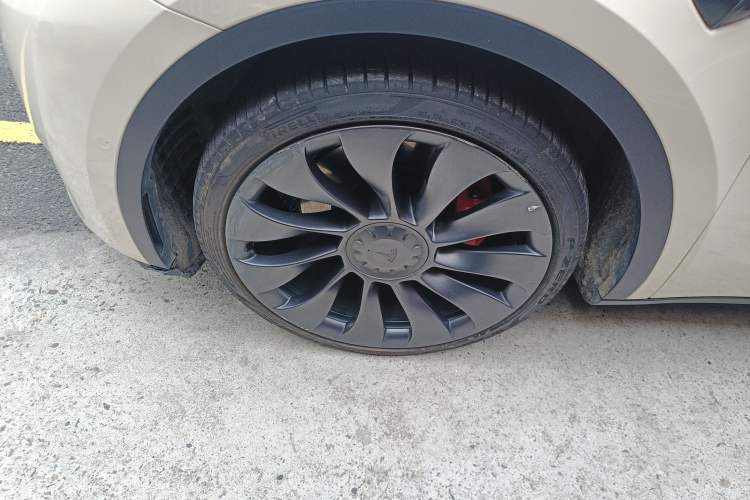 Used Tesla Model Y 2023 High-Performance All-Wheel-Drive Version Exterior 4