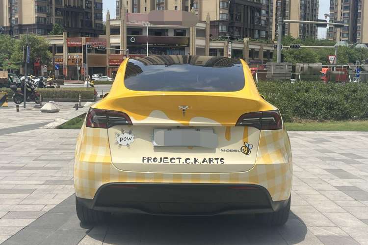 Used Tesla Model Y 2023 Rear-Wheel-Drive Version Exterior 4