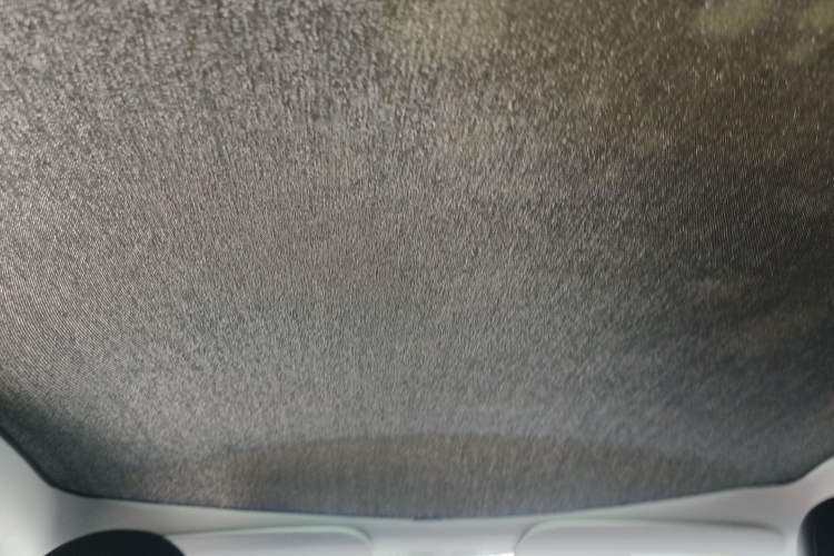 Used Tesla Model Y 2023 High-Performance All-Wheel-Drive Version Headliner